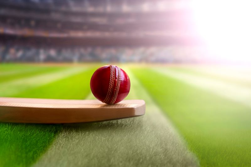 scg-cricket-case-study.jpg