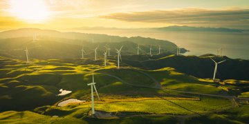 Mercury NZ Loyalty Program